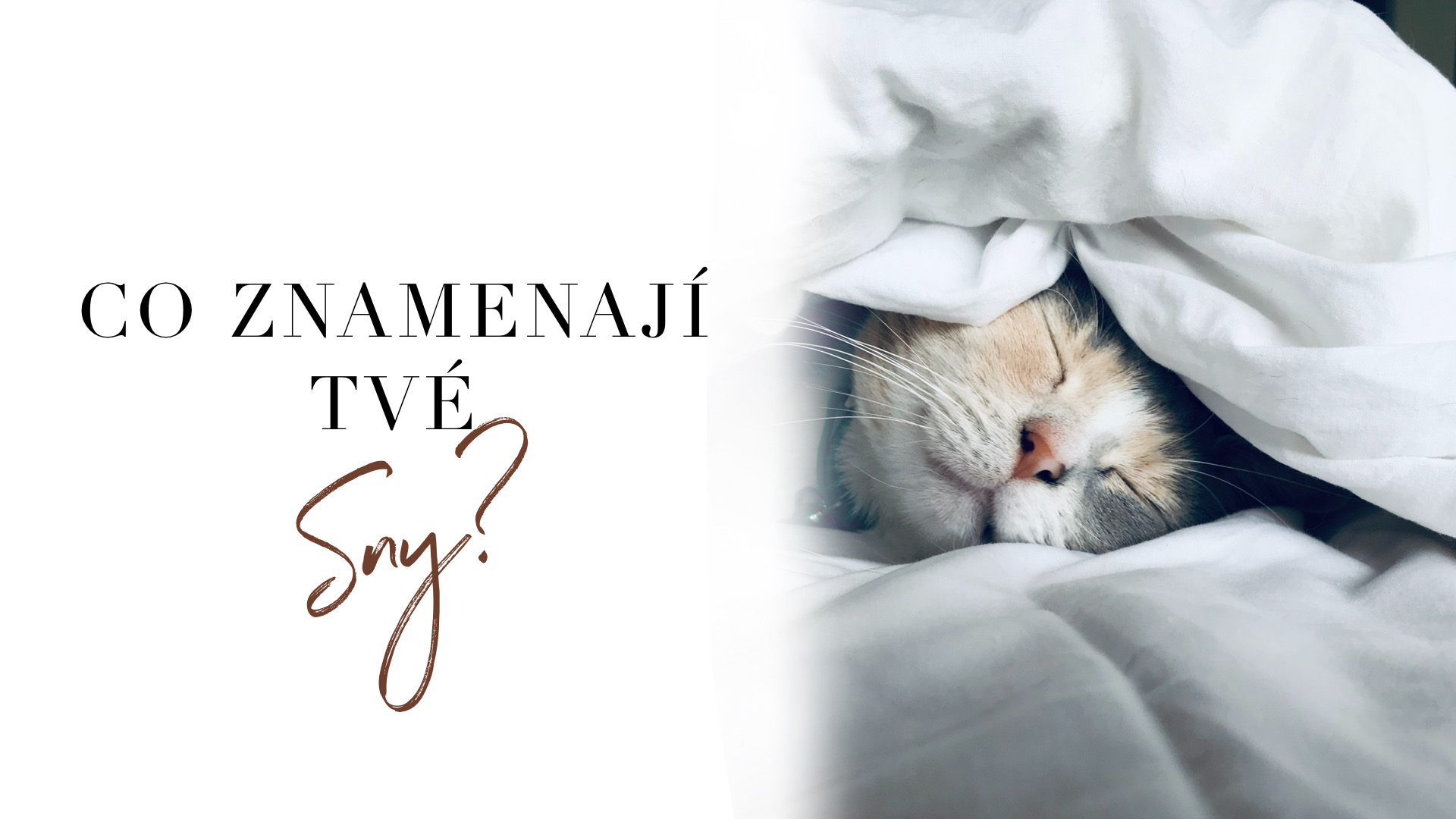 Co ve skutečnosti znamenají tvé sny? 5 nejčastějších snů a jejich výklad