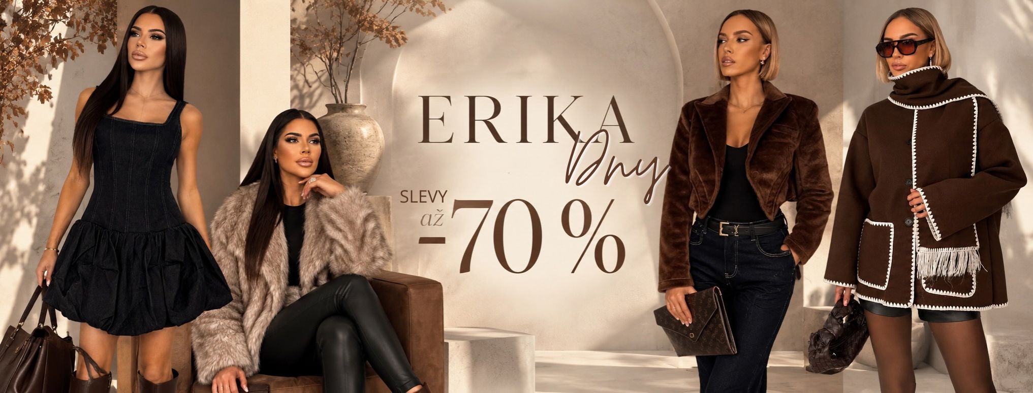 Erika Dnes deskop
